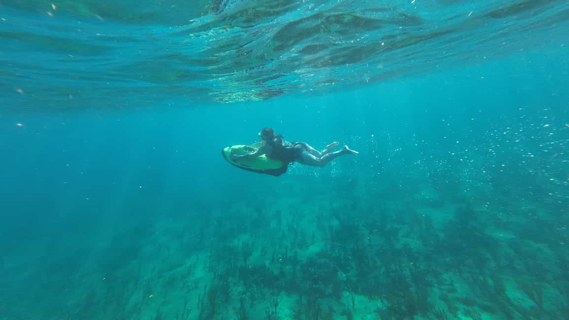 imagen n.º 39 de Fort Lauderdale: Excursión y alquiler de esnórquel SEABOB Ultimate actividad en Fort Lauderdale, subida por el proveedor