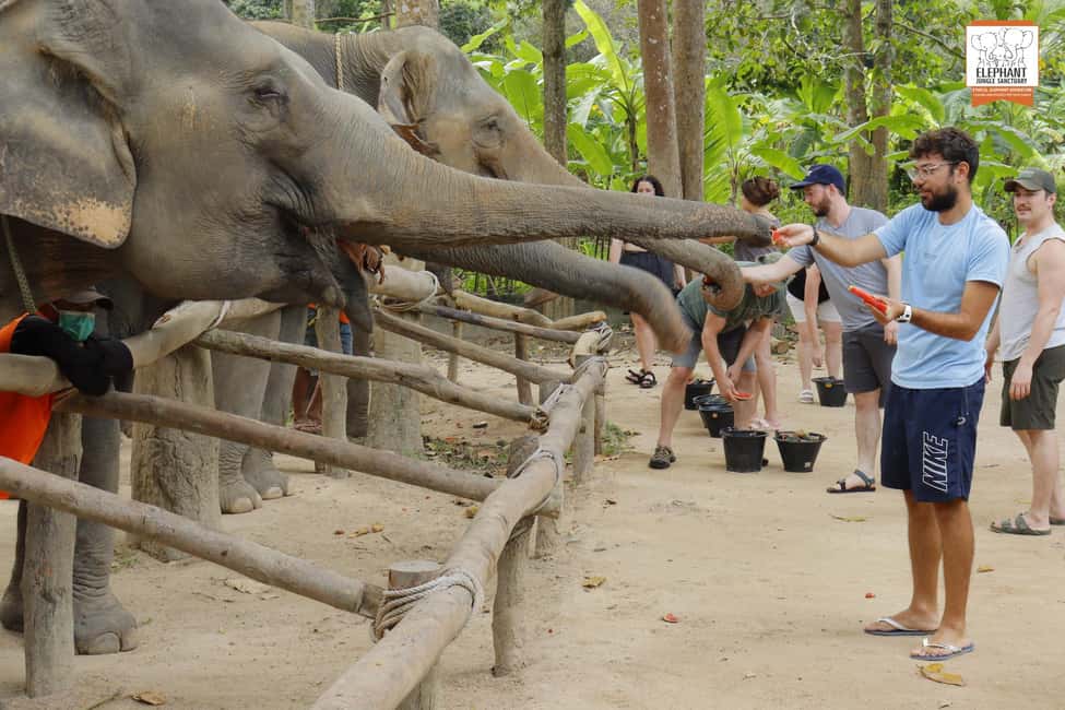 billede nr.2 af aktiviteten Koh Samui: Indgang til elefantreservat og fodringsoplevelse i Thailandbugten, uploadet af udbyder