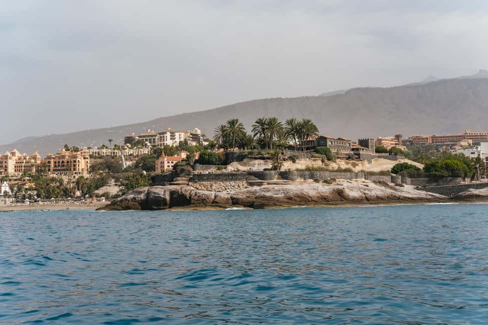 image n.7 of Costa Adeje: Whale & Dolphin Eco-Cruise with Snacks & Drinks activity in Costa Adeje, uploaded by supplier