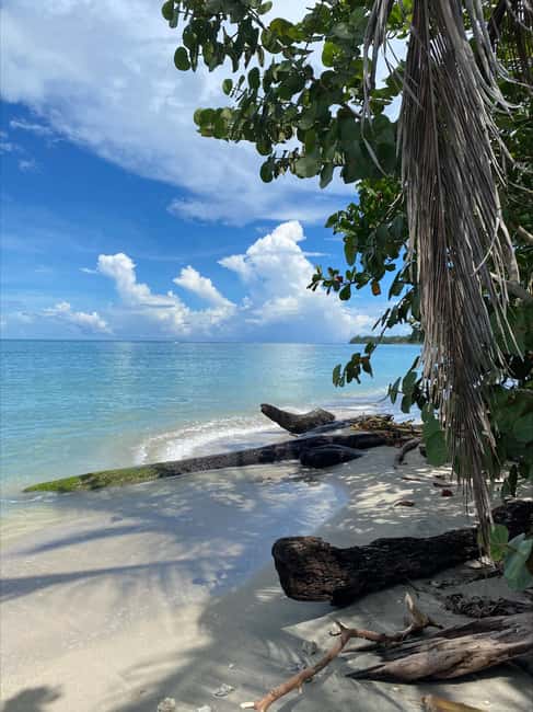 bild nr.3 av Cahuita: Guidad vandring genom Cahuita nationalpark aktivitet i Cahuita, uppladdad av arrangören
