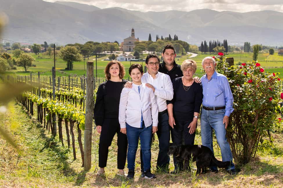 Immagine nº 2 di Montefalco: Tour della cantina e del vigneto e degustazione privata attività a Montefalco, caricata dal fornitore