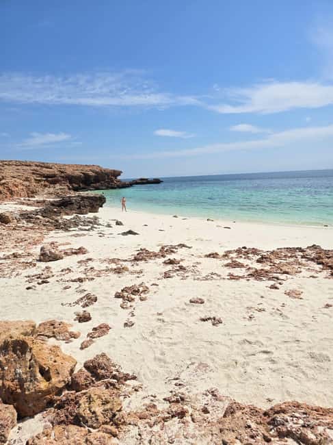Immagine nº 45 di Isola di Daymaniyat: tour di snorkeling con pranzo gustoso attività a Seeb, caricata dal fornitore