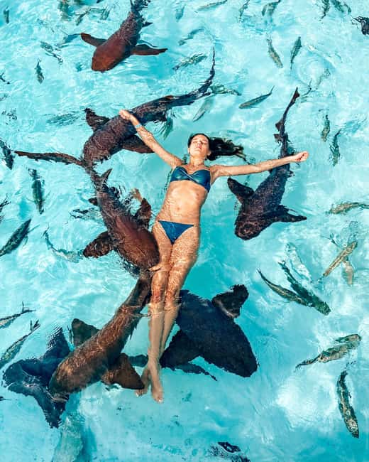 Image N°5 de Nassau : Découvrez l'île d'Exuma et nagez avec des cochons. activité à Exumas, publiée par le prestataire