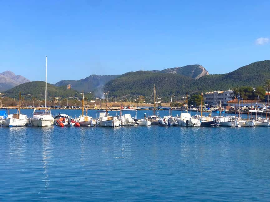 bild nr.13 av Mallorca: Kustkryssning med katamaran och lunch aktivitet i Calvià, uppladdad av arrangören