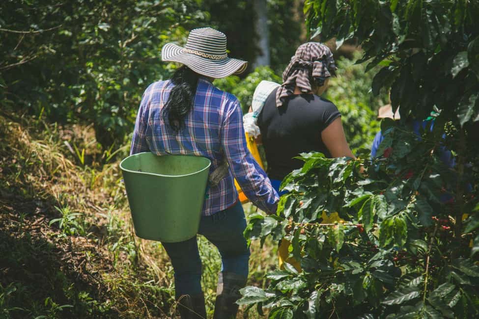 image n.4 of CANYONING and COFFEE TOUR AT LOCAL FAMILY FARM from GUATAPE activity in Guatapé, uploaded by supplier
