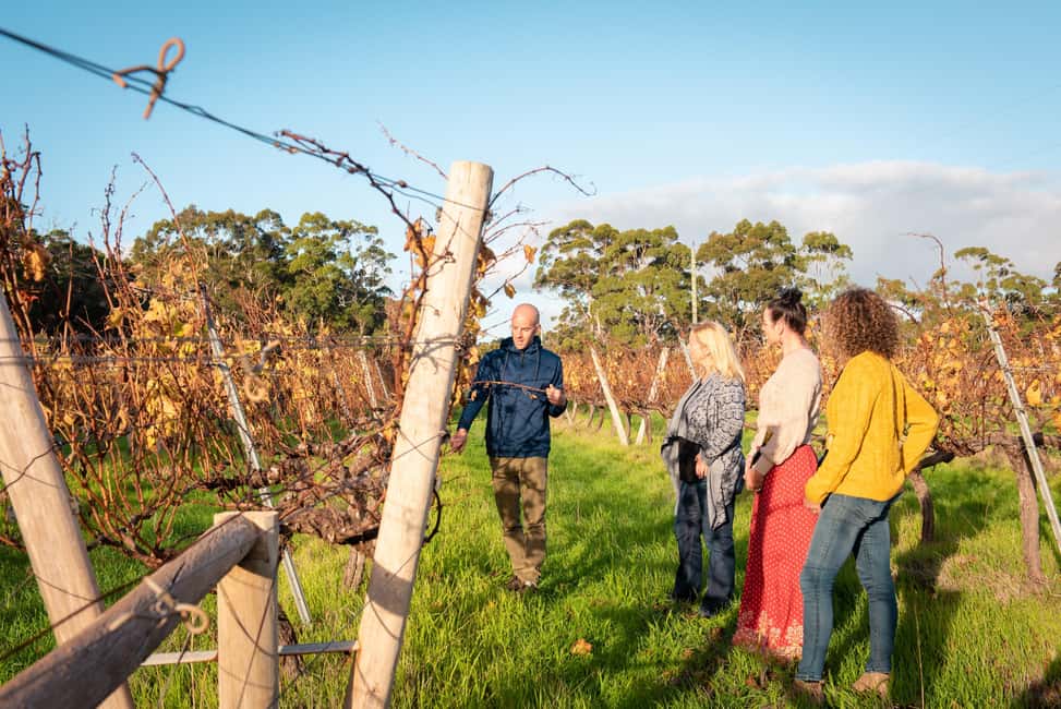 image n.9 of Margaret River Full-Day Wine, Local Produce & Nature Tour activity in Margaret River, uploaded by supplier