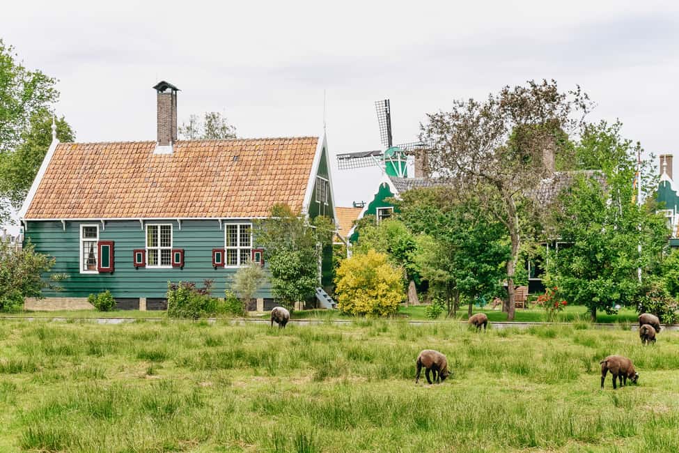 imagem n.43 de Amesterdão: Visita guiada aos moinhos de vento de Zaanse Schans e Volendam atividade em Zaandam, carregada pelo fornecedor
