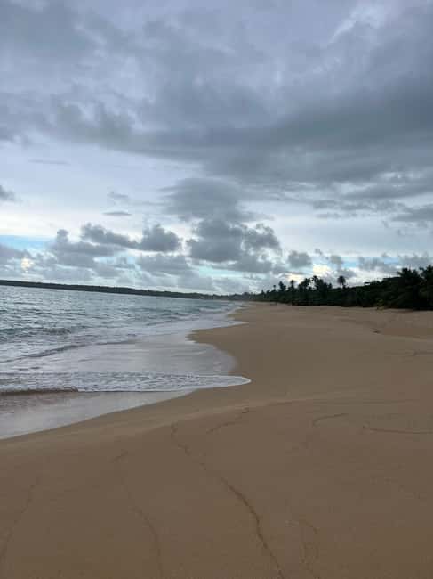 billede nr.15 af aktiviteten San Juan: Rundvisning i kaffemuseum og -butik i Ciales i San Juan, uploadet af udbyder