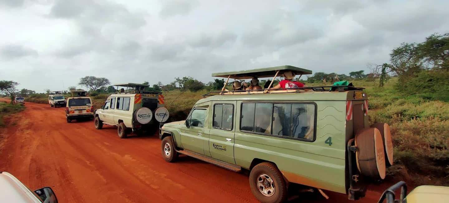 image n.52 of 2-Days Wildlife Safari to Tsavo East & Tsavo West Park activity in Coast Province, uploaded by supplier
