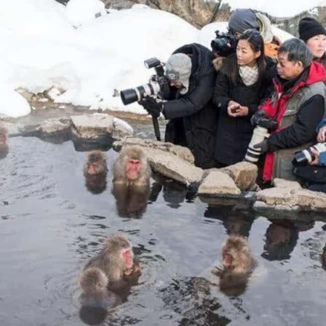 image n.19 of From Tokyo: Private Tour Snow Monkey Park & Zenko-ji Temple activity in Nagano, uploaded by supplier