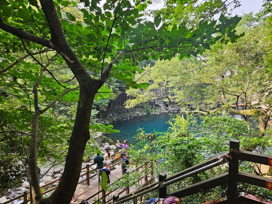 image n.19 of Jeju Island: Full-Day SouthWest Bus Tour with Entry Fees activity in Seogwipo-si, uploaded by supplier