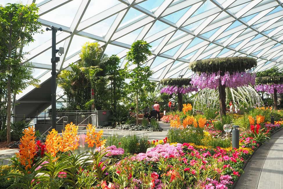 imagem n.1 de Aeroporto Jewel Changi: Labirinto de Hedge e Ingresso para o Parque Canopy atividade em Singapura, carregada pelo fornecedor
