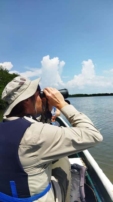 image n.6 of Cartagena: Sail in the mangroves of Cartagena activity in Cartagena, uploaded by supplier