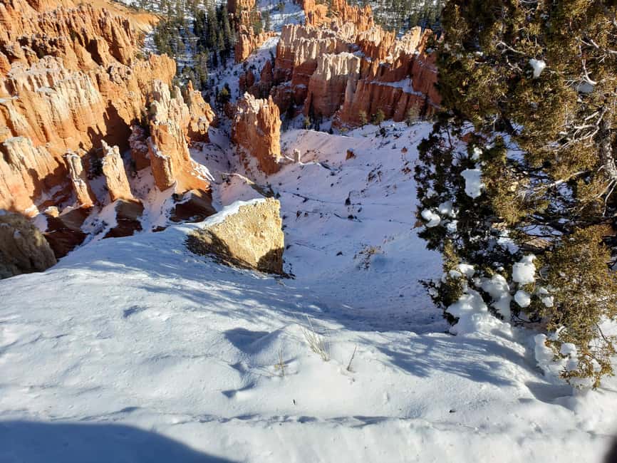 image n.43 of Small Group Tour Zion & Bryce Canyon National from Las Vegas activity in Utah, uploaded by supplier