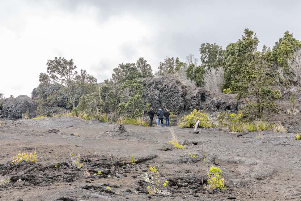 Immagine nº 24 di Hawaii: tour privato all-inclusive dei vulcani e delle cascate attività a Hilo, caricata dal fornitore