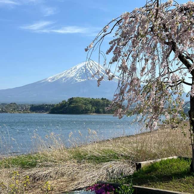 obrázek č.27 aktivity Tokio: Mt Fuji Soukromá jednodenní prohlídka s anglickým řidičem Nízká cena v destinaci Fujiyoshida, nahraný poskytovatelem aktivity