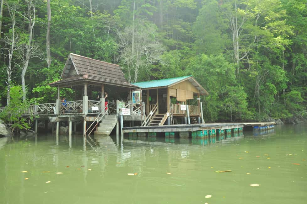 Image N°21 de Langkawi : Tour en bateau de 6 heures dans la mangrove de Kilim avec déjeuner et prise en charge activité à Kuah, publiée par le prestataire