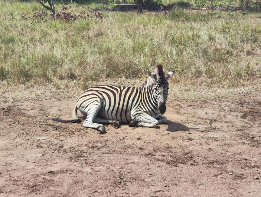 image n.1 of Accra: Half day private safari with pick up activity in Accra, uploaded by supplier