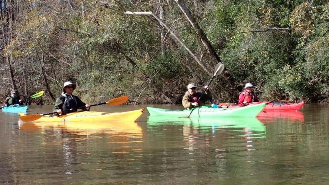 imagen n.º 3 de Houston: excursión en kayak por Luce Bayou actividad en Houston, subida por el proveedor