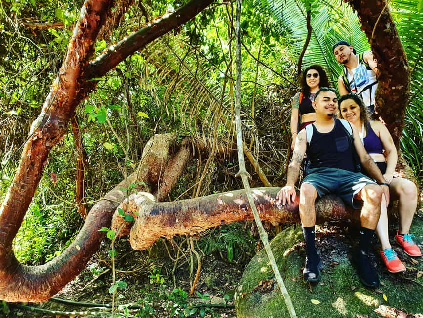 image n.11 of Puerto Vallarta: 4-Hour Jungle Hike and Waterfall Swim activity in Puerto Vallarta, uploaded by supplier