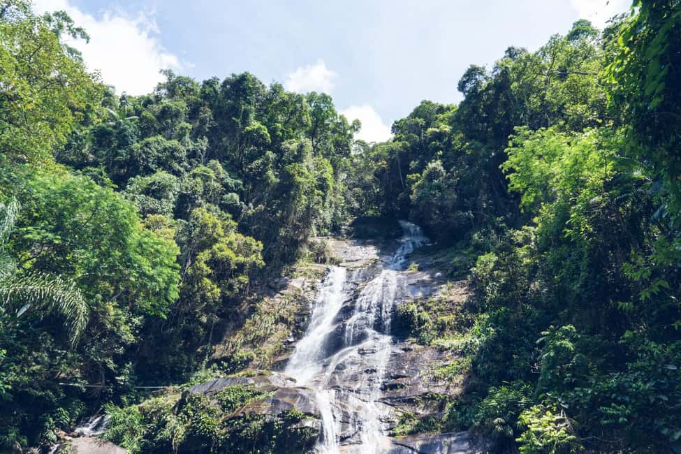 imagen n.º 3 de Río: Senderismo por la selva tropical de Tijuca, cascadas, cuevas y fauna silvestre actividad en Río de Janeiro, subida por el proveedor