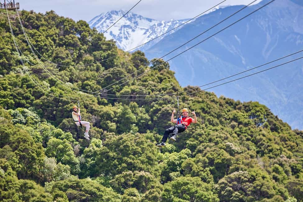 image n.3 of Kaikōura: Zipline and Native Forest Adventure Trip activity in Kaikoura, uploaded by supplier