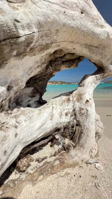 image n.23 of From Palau: Maddalena Archipelago Sailing Tour and Lunch activity in Sardinia, uploaded by supplier