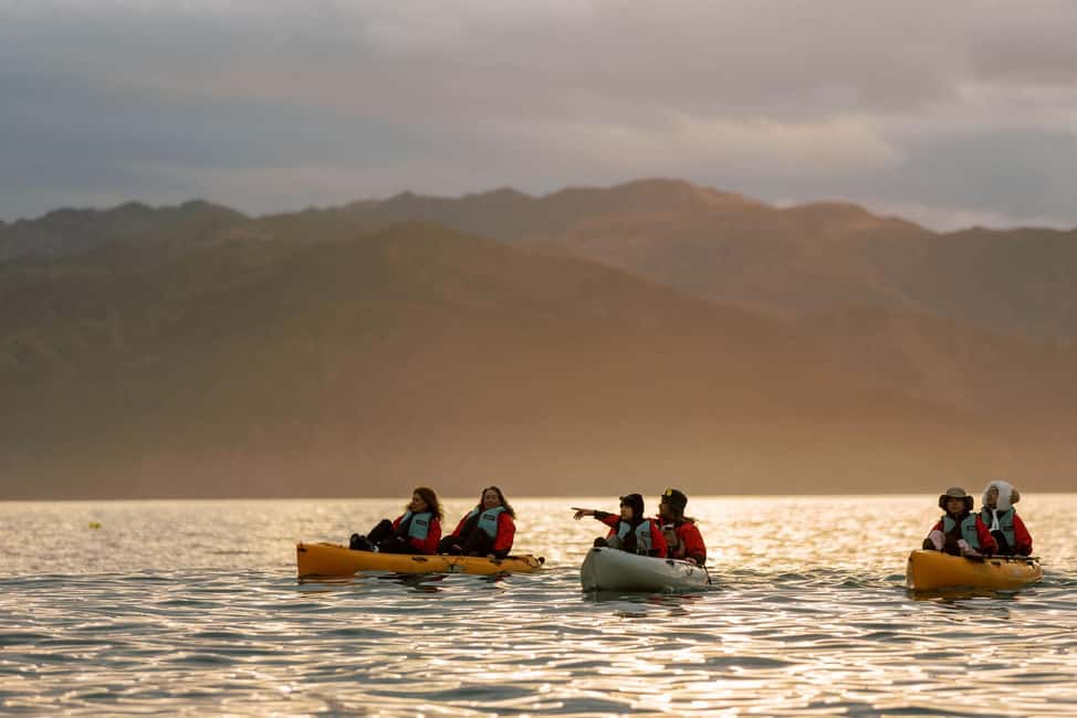 image n.11 of Kaikoura: Seal-Watching Pedal Kayak Tour activity in Kaikoura, uploaded by supplier