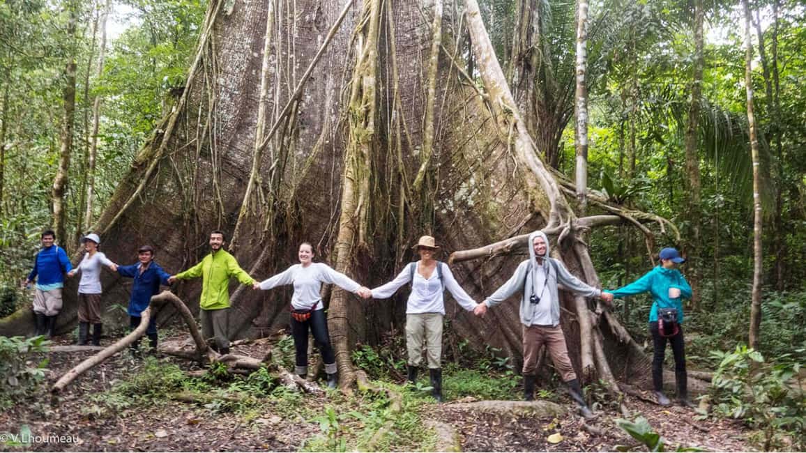 image n.4 of From Iquitos: Full day tour in the Peruvian jungle activity in Huanuco Region, uploaded by supplier
