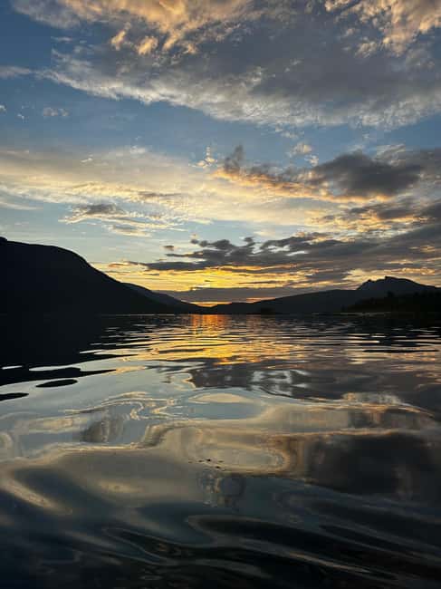 image n.27 of Narvik/Harstad:Day tour of Fjords with stop at Reindeer farm activity in Narvik, uploaded by supplier