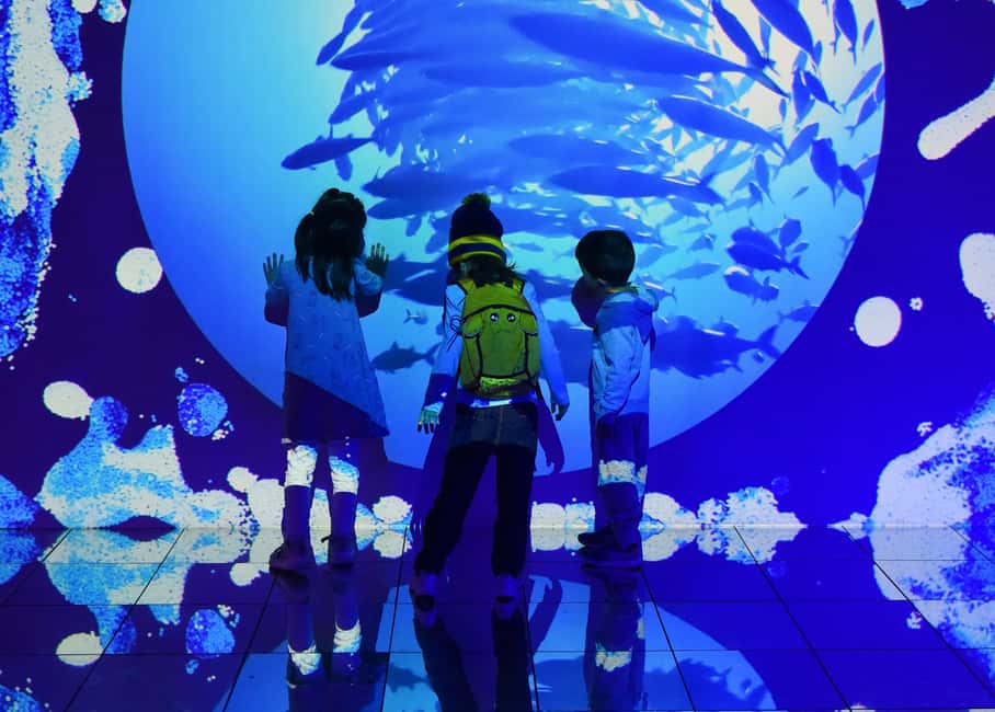image n.6 of Toronto: Royal Ontario Museum Special Exhibits Voucher activity in Toronto, uploaded by supplier