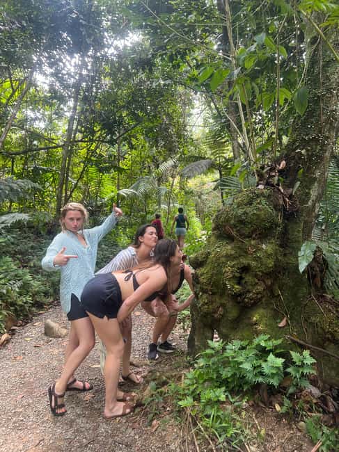 billede nr.3 af aktiviteten San Juan: El Yunque Rainforest Hike & Luquillo Beach i Luquillo, uploadet af udbyder