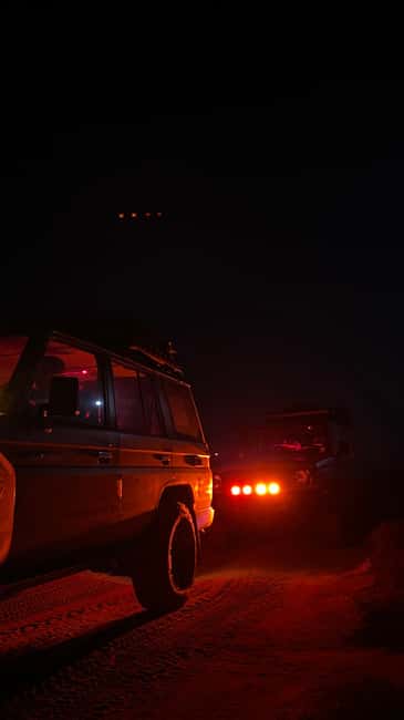 image n.2 of Boa Vista: 3h Turtle Watching Expedition activity in Boa Vista Island, uploaded by supplier