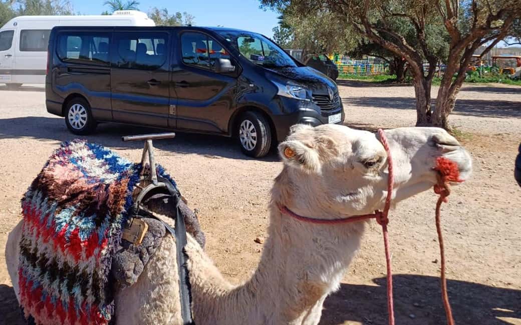 billede nr.7 af aktiviteten Privat tur i ørkenen i Casablanca 8 dage Grand Morocco Tour i Meknès, uploadet af udbyder