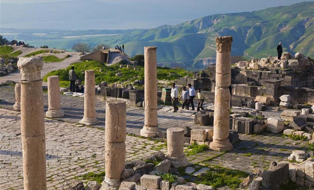 afbeelding n.19 van Vanuit Amman: Jerash, Ajloun kasteel of Umm Qais privétour activiteit in Ajlun, geüpload door aanbieder