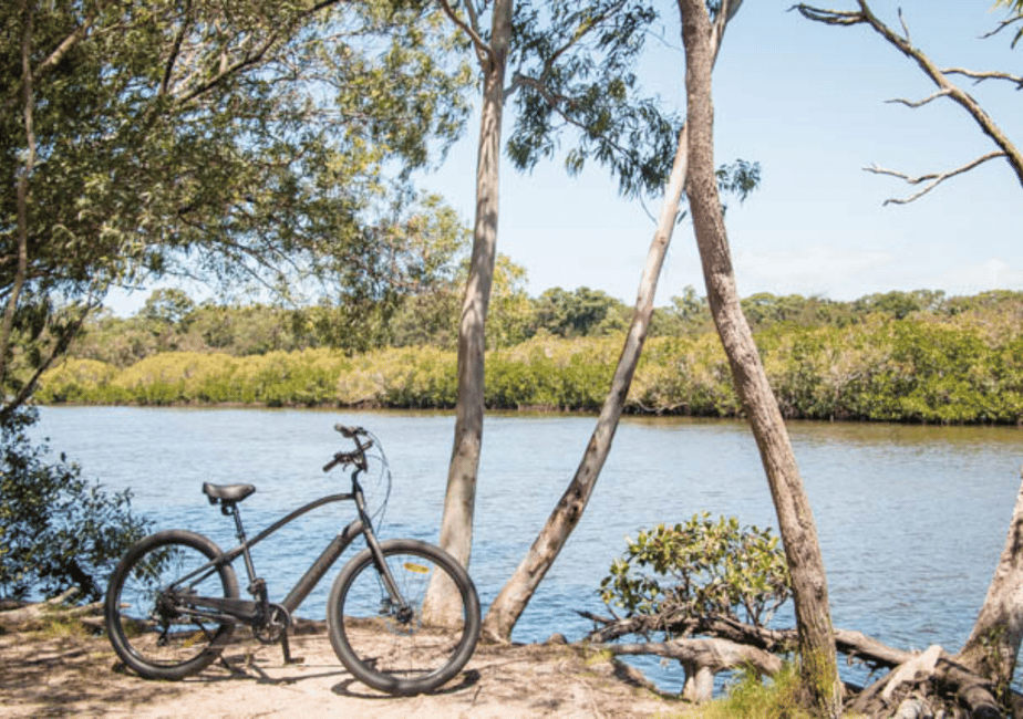 image n.4 of Noosa: E-Bike Tour from Mt Tinbeerwah to Noosa activity in Sunshine Coast, uploaded by supplier