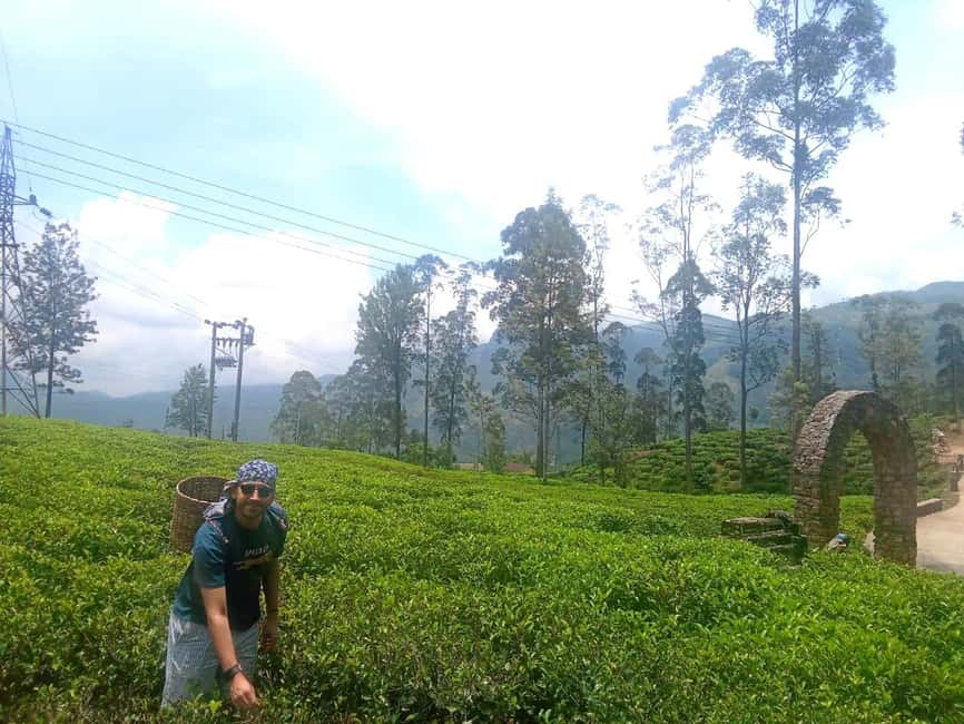 image n.7 of Nuwara Eliya Full day: 5Waterfalls, 2Tea Test & pick by TUK activity in Nuwara Eliya, uploaded by supplier