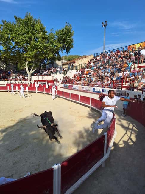 imagem n.9 de De Marselha: Excursão de 1 dia aos vinhos de Les Baux de Provence atividade em Saint-Rémy-de-Provence, carregada pelo fornecedor