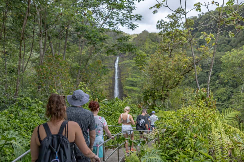 Immagine nº 2 di Hawaii: tour privato all-inclusive dei vulcani e delle cascate attività a Hilo, caricata dal fornitore
