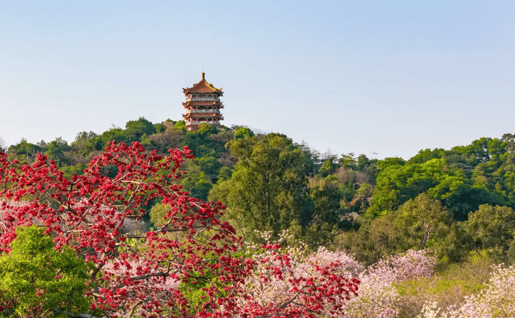 Image N°3 de Guangzhou : visite privée de la ville avec déjeuner dim sum activité à Guangzhou, publiée par le prestataire