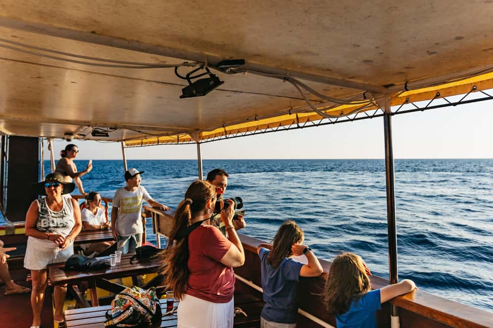 Immagine nº 12 di 3 ore di osservazione dei delfini al tramonto con bevande illimitate + cena attività a Istarska, caricata dal fornitore