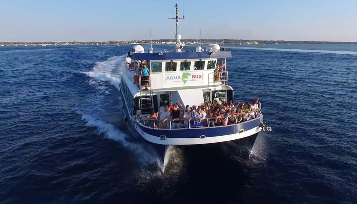 Image N°1 de Playa d'en Bossa/Figueretes : ferry aller-retour pour Formentera activité à Îles Baléares, publiée par le prestataire