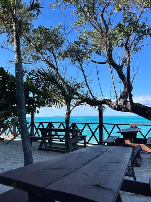 Image N°84 de Nassau : Plongée en apnée dans les récifs, tortues, déjeuner et club de plage privé activité à Bahamas, publiée par le prestataire
