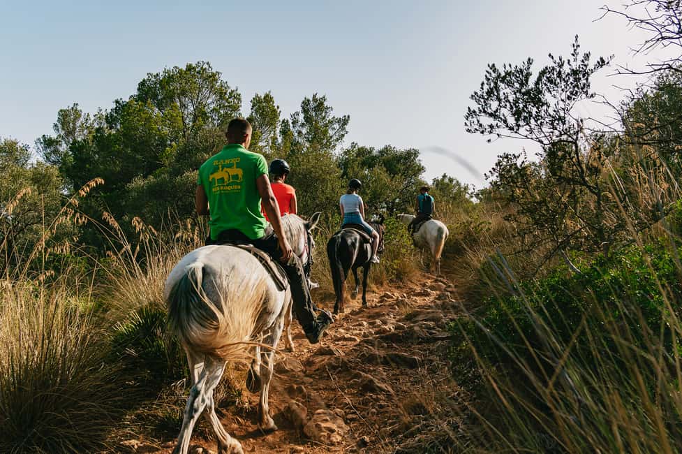 image n.9 of Mallorca: Horseback Riding Experience with Food Options activity in Balearic Islands, uploaded by supplier