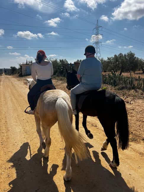 Image N°6 de Sousse/Monastir : excursion privée à cheval avec transfert activité à Monastir, publiée par le prestataire