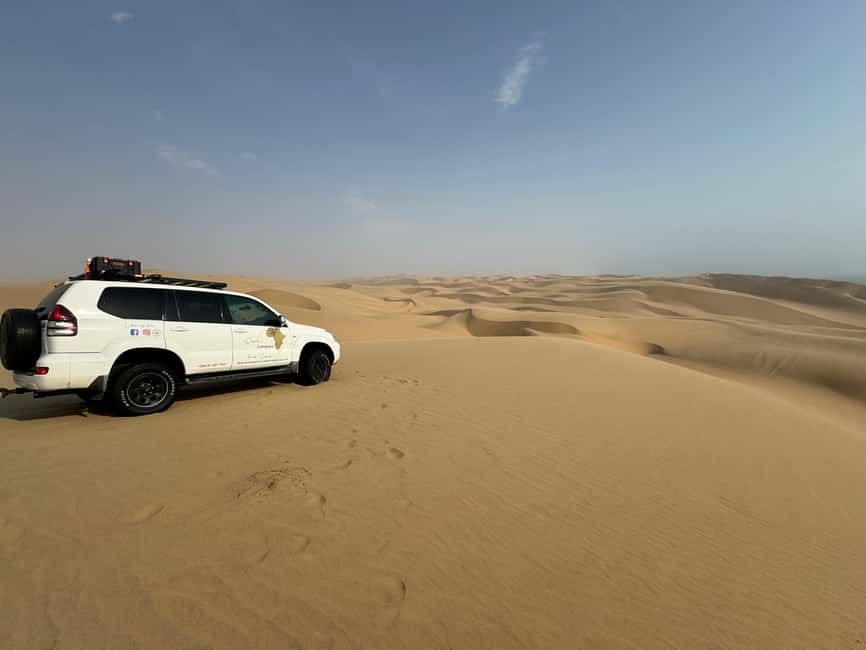 image n.44 of Walvisbay: Sandwich Harbour 4x4 Tour-Unparalleled Experience activity in Erongo, uploaded by supplier