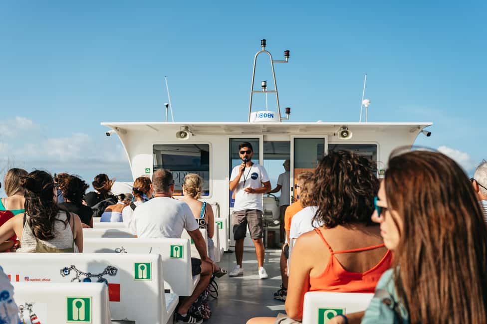 Immagine nº 7 di Sorrento: Gita in barca in Costiera e a Capri con degustazione di limoncello attività a Matermania, caricata dal fornitore