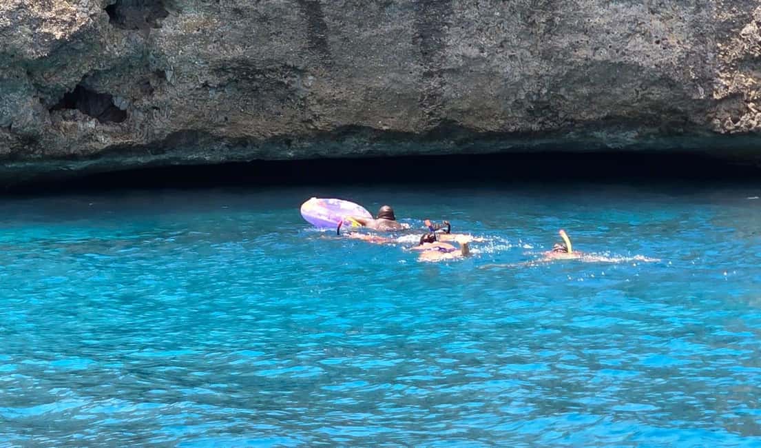 afbeelding n.11 van Privérondvaart over het hele westen (snorkelen met schildpadden) activiteit in Curaçao, geüpload door aanbieder
