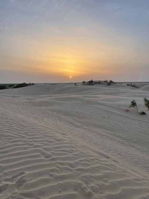 image n.65 of From Yasmine Hammamet/Kantaoui: 2-Day Sahara Tour with Meals activity in Tozeur Governorate, uploaded by supplier