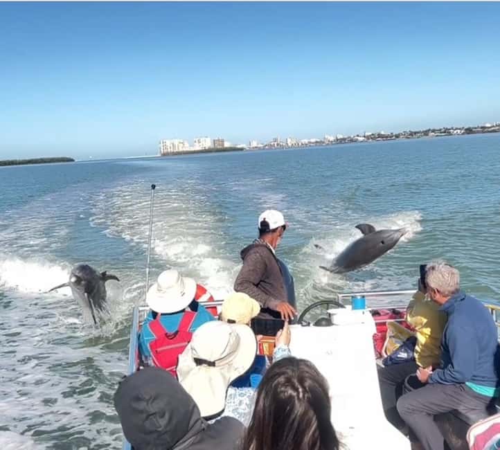 image n.10 of Marco Island: 2-Hour Dolphin, Birding, and Shelling Tour activity in Fort Myers, uploaded by supplier